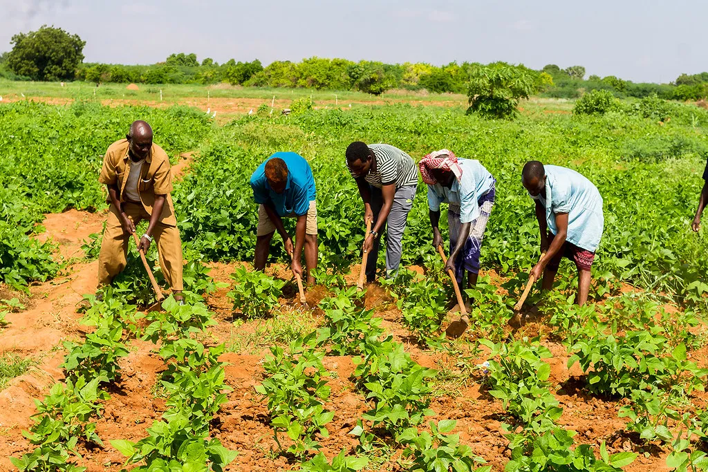 Agri-tech & Water